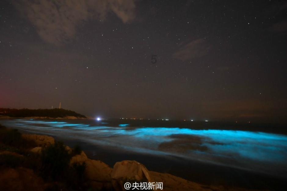 逃离废弃的卡车场