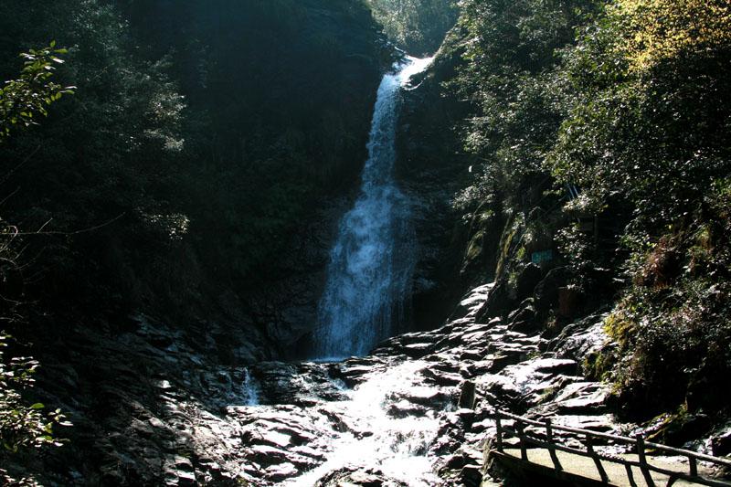 见缝插刀2